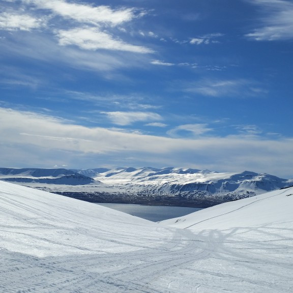 &Uacute;ts&yacute;ni&eth; er ekki amalegt