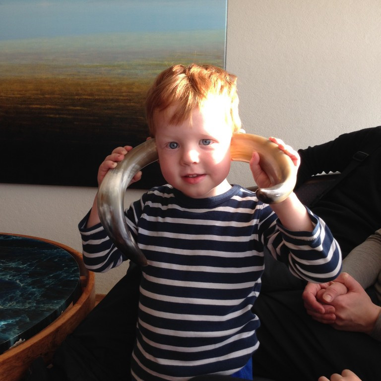 Voru v&iacute;kingarnir me&eth; hornin svona!!!