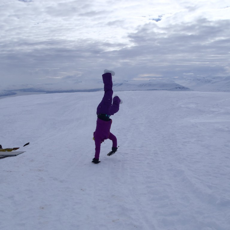 Svo er um a&eth; gera a&eth; li&eth;ka sig.