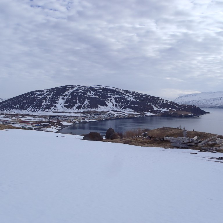 Greniv&iacute;k og &THORN;engilsh&ouml;f&eth;i &iacute; baks&yacute;n.